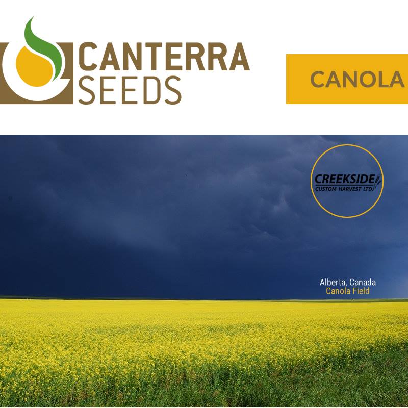 Creekside Custom Harvest Ltd. - Farming & Agricultural Services in Coaldale, Alberta