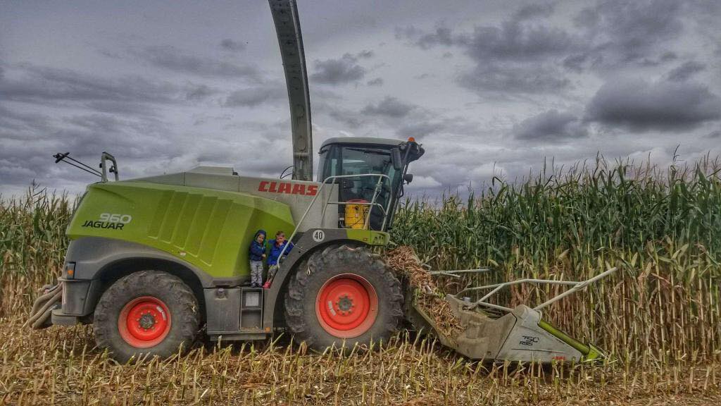 Farming in Coaldale, Alberta