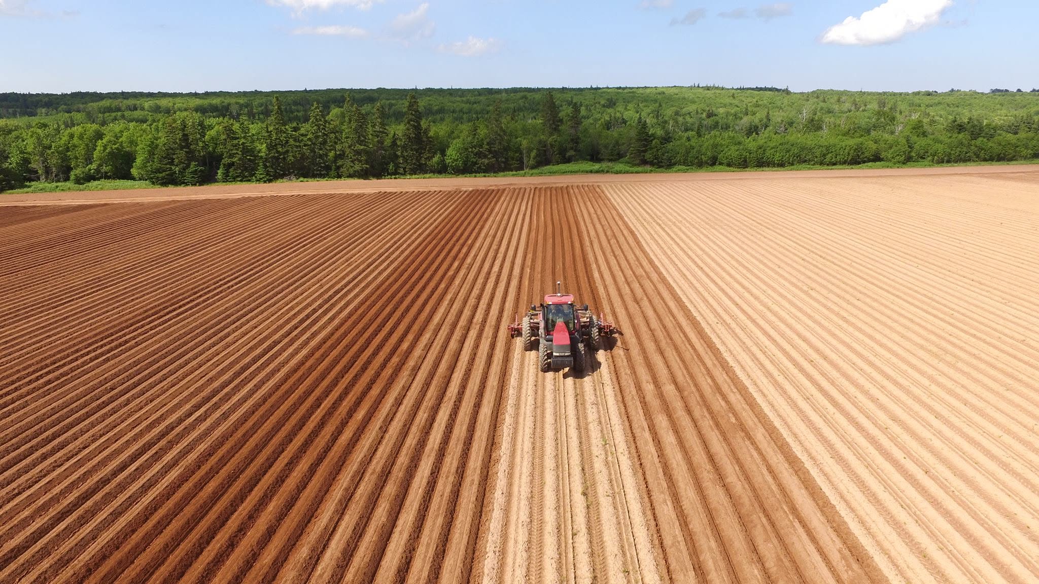 Rollo Bay Holdings Ltd. - Agriculture in Souris, Prince Edward Island