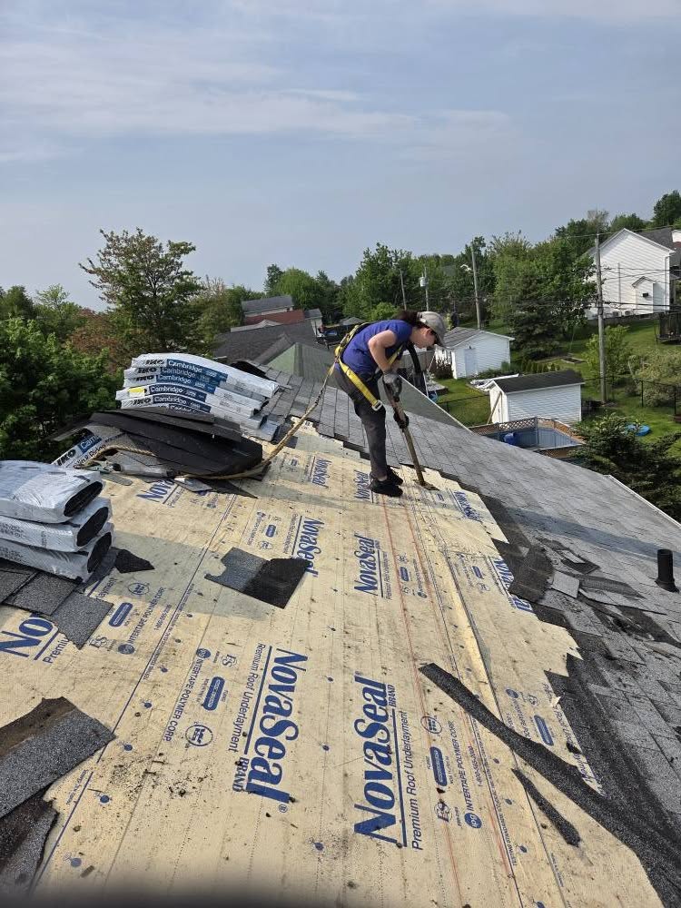 Allan & Son Roofing and Renovation