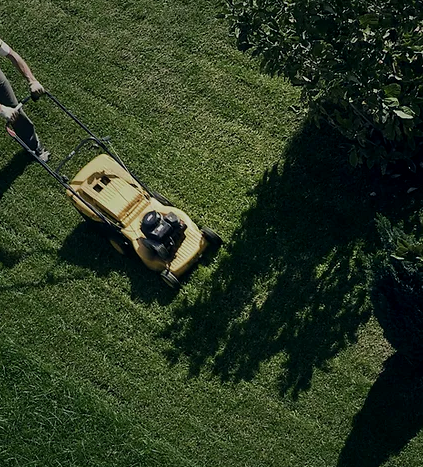 Altitude Outdoor Home Care - General Contractors in Brentwood Bay, British Columbia