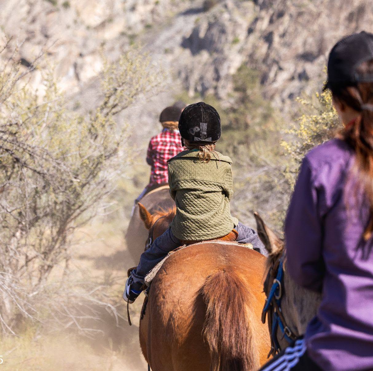 Indian Grove Riding Stables
