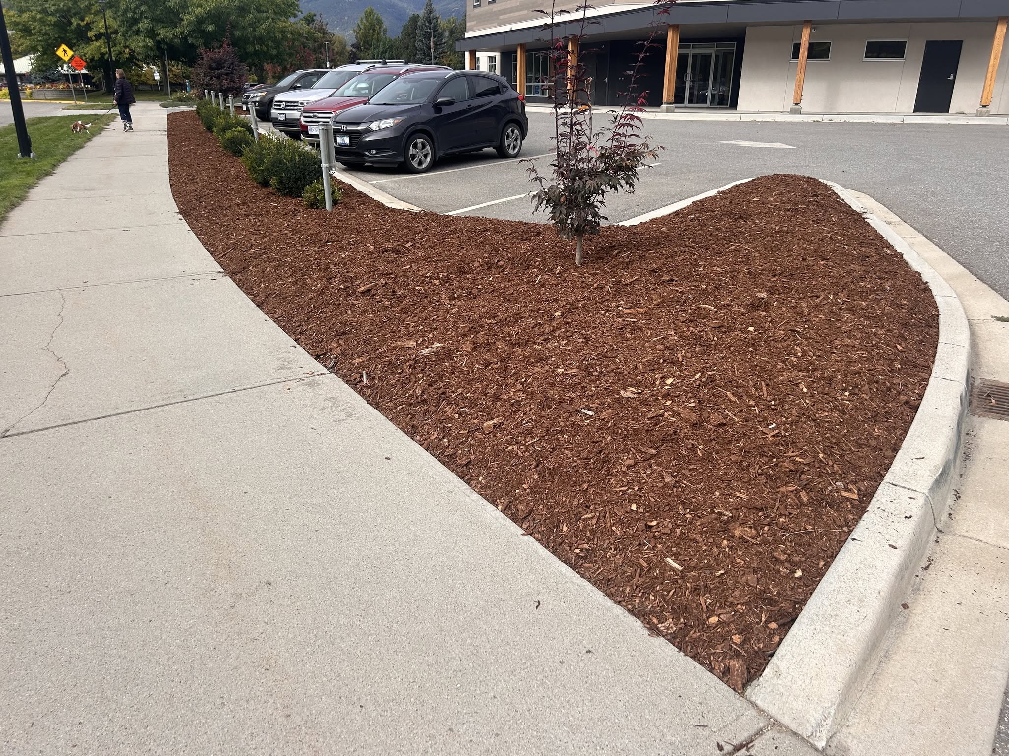 Landscape Construction