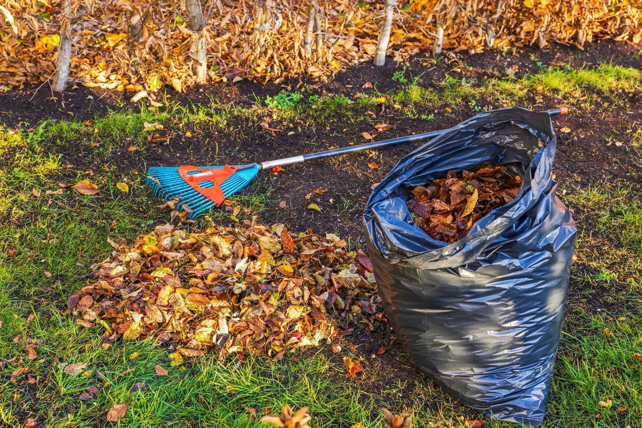 A & J Property Services