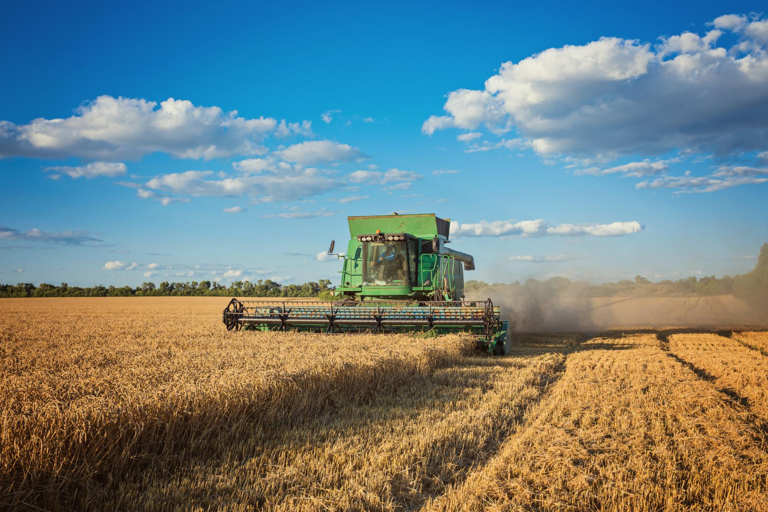 Farming Services in Bluevale, Ontario.