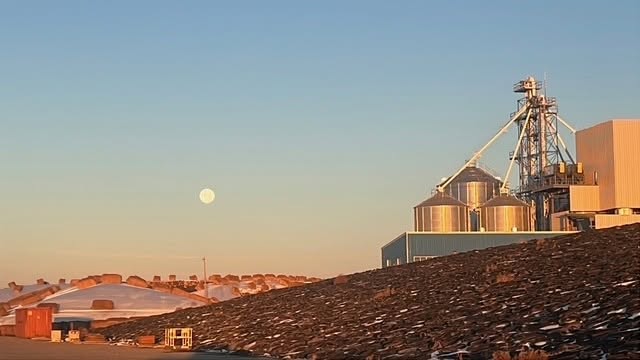 Chinook Feeders 2024 Ltd in Nanton, Alberta