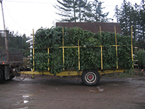 G & C Hughes Enterprises Ltd