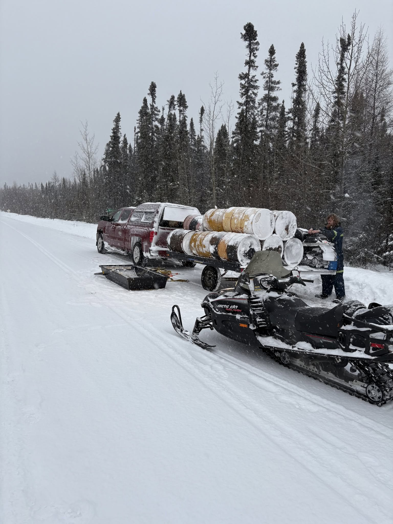 Bear North Outfitters