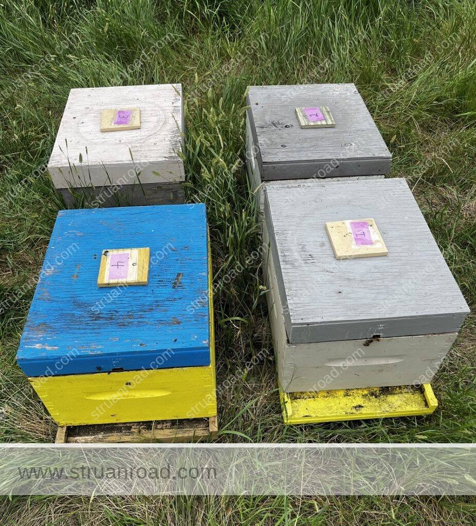 Struan Road Apiaries