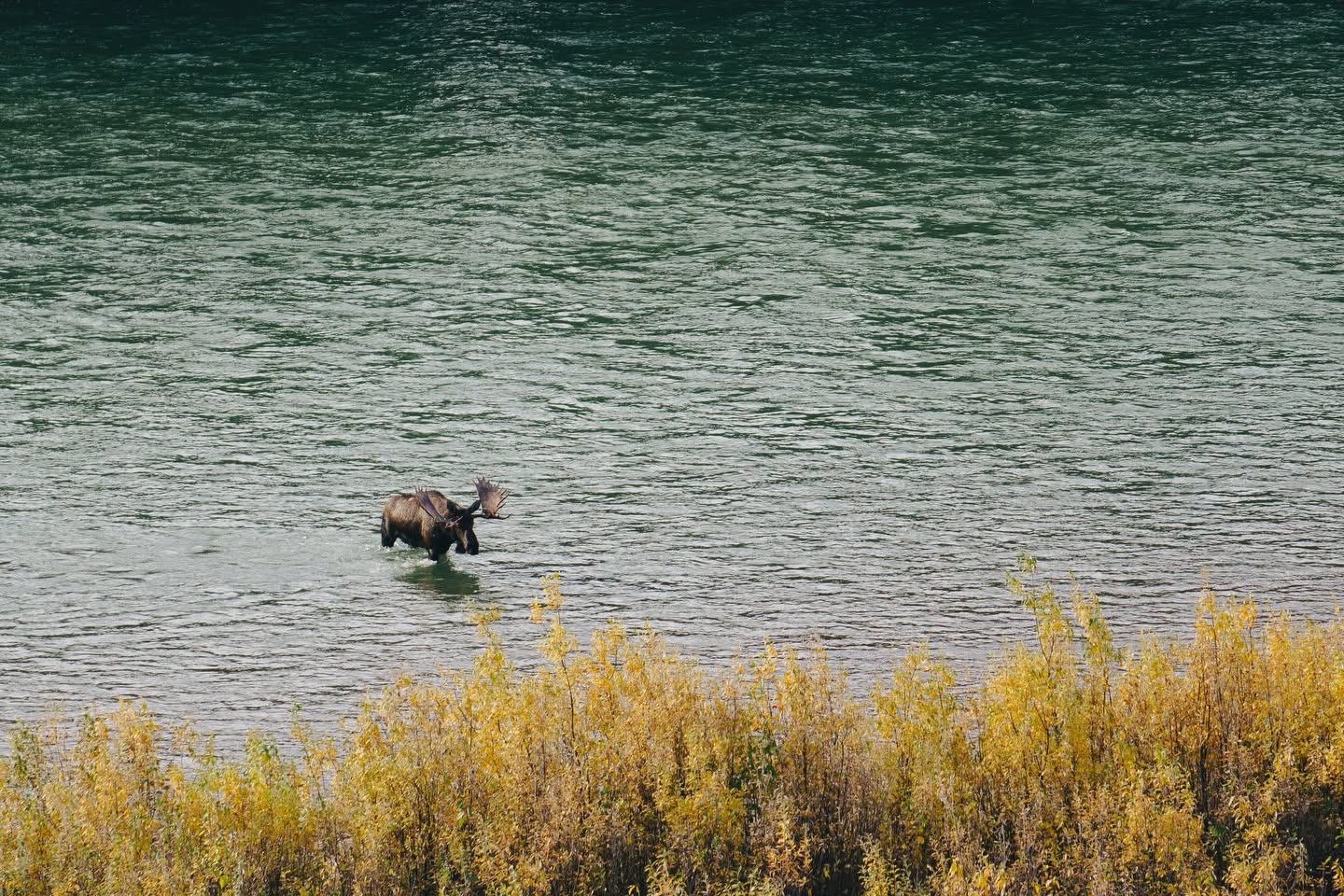 Blackstone Outfitters in Whitehorse, Yukon.