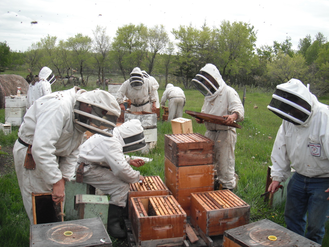 Glory Bee Honey Farms - Farming & Agricultural Services, Saskatchewan