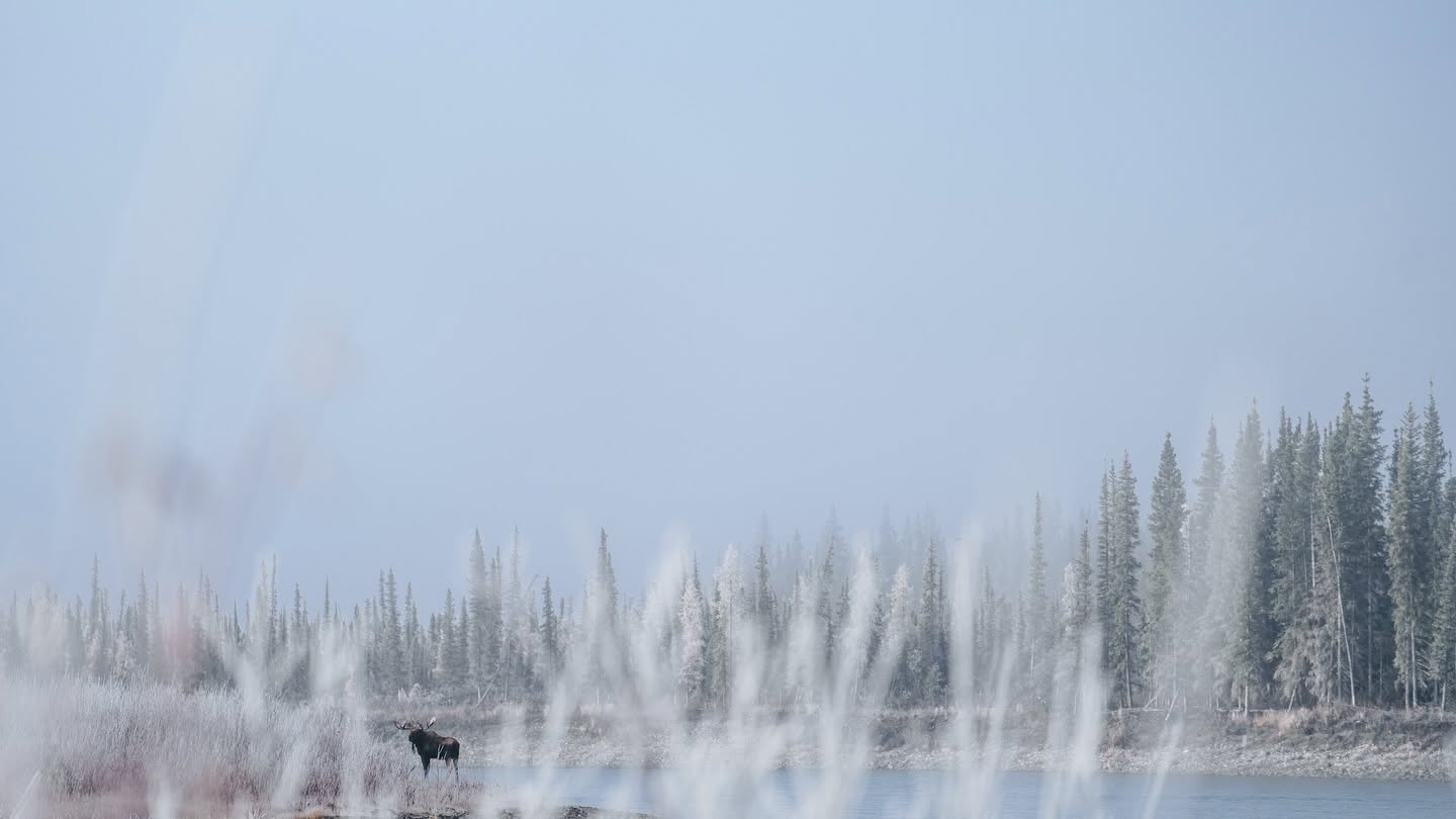 Blackstone Outfitters in Whitehorse, Yukon.
