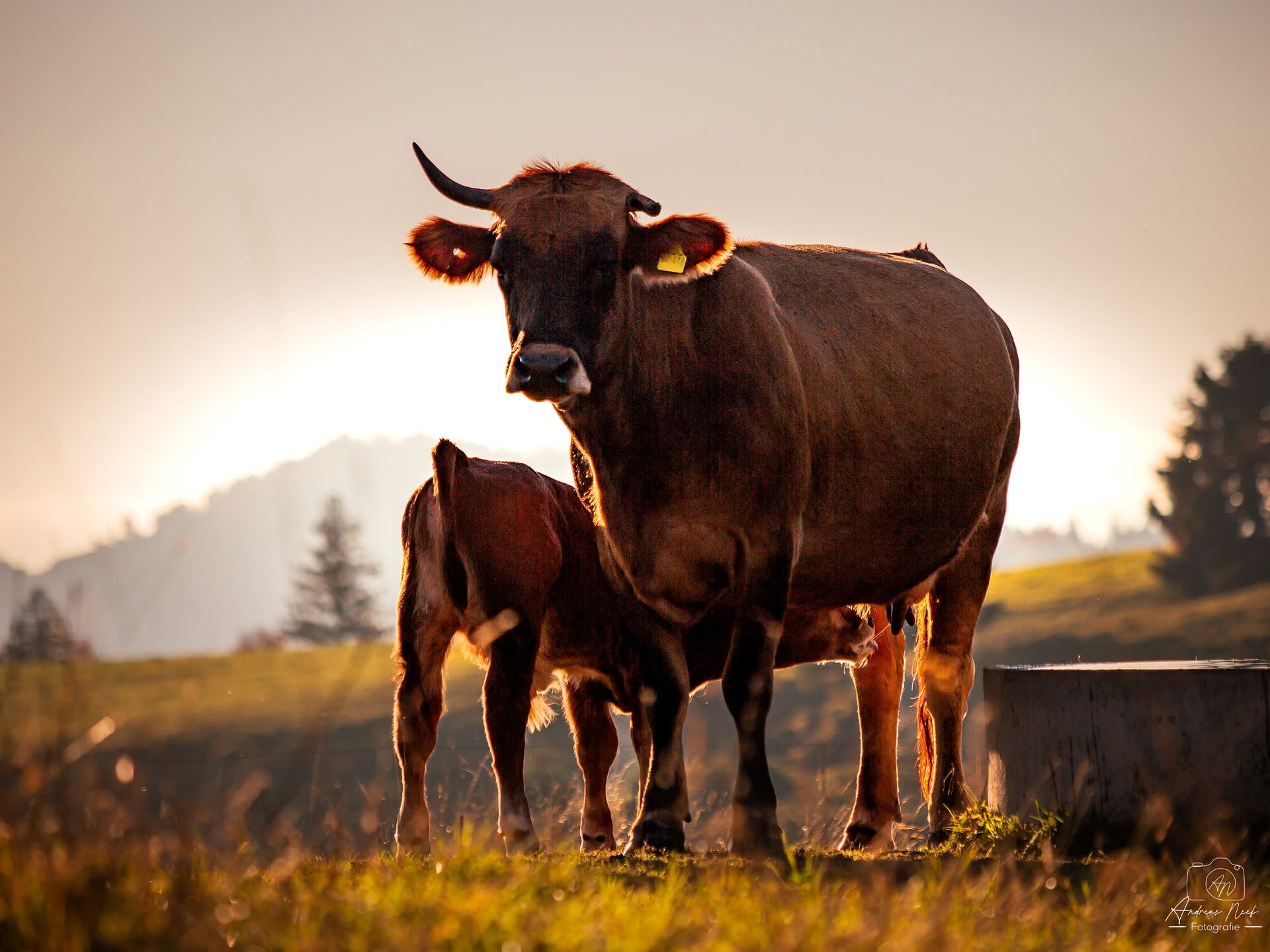 Three Hills Colony - Farming & Agricultural Services in Three Hills, Alberta