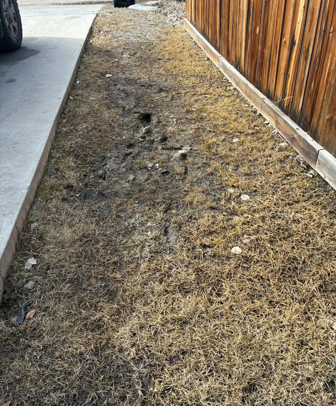 Four Seasons Works - Landscaping Services in Leduc, AB
