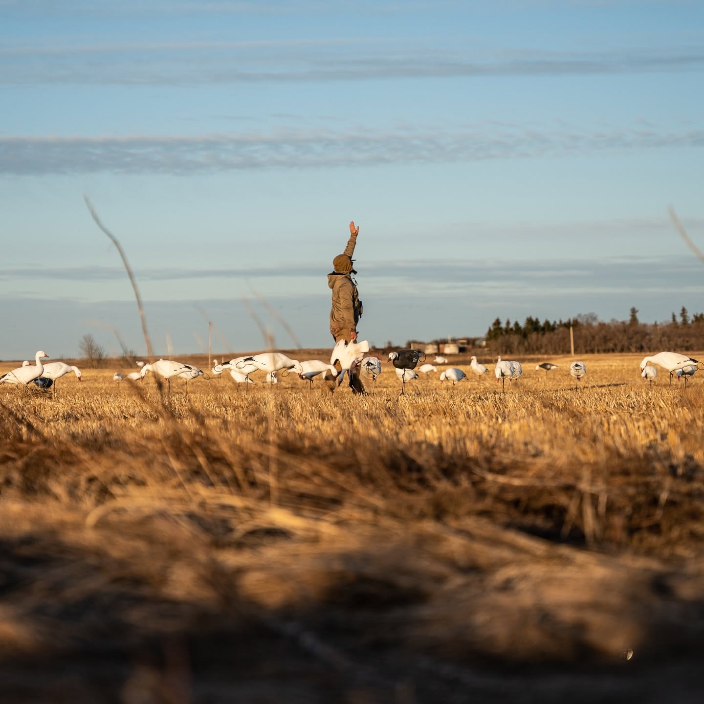 Prairie Limits Outfitters - Fishing & Hunting Outfitters in Neilburg, Saskatchewan