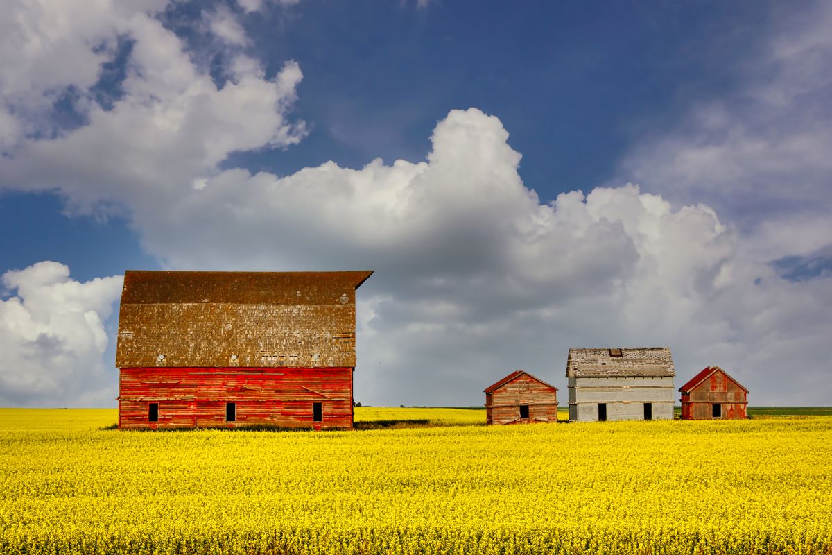 Farms