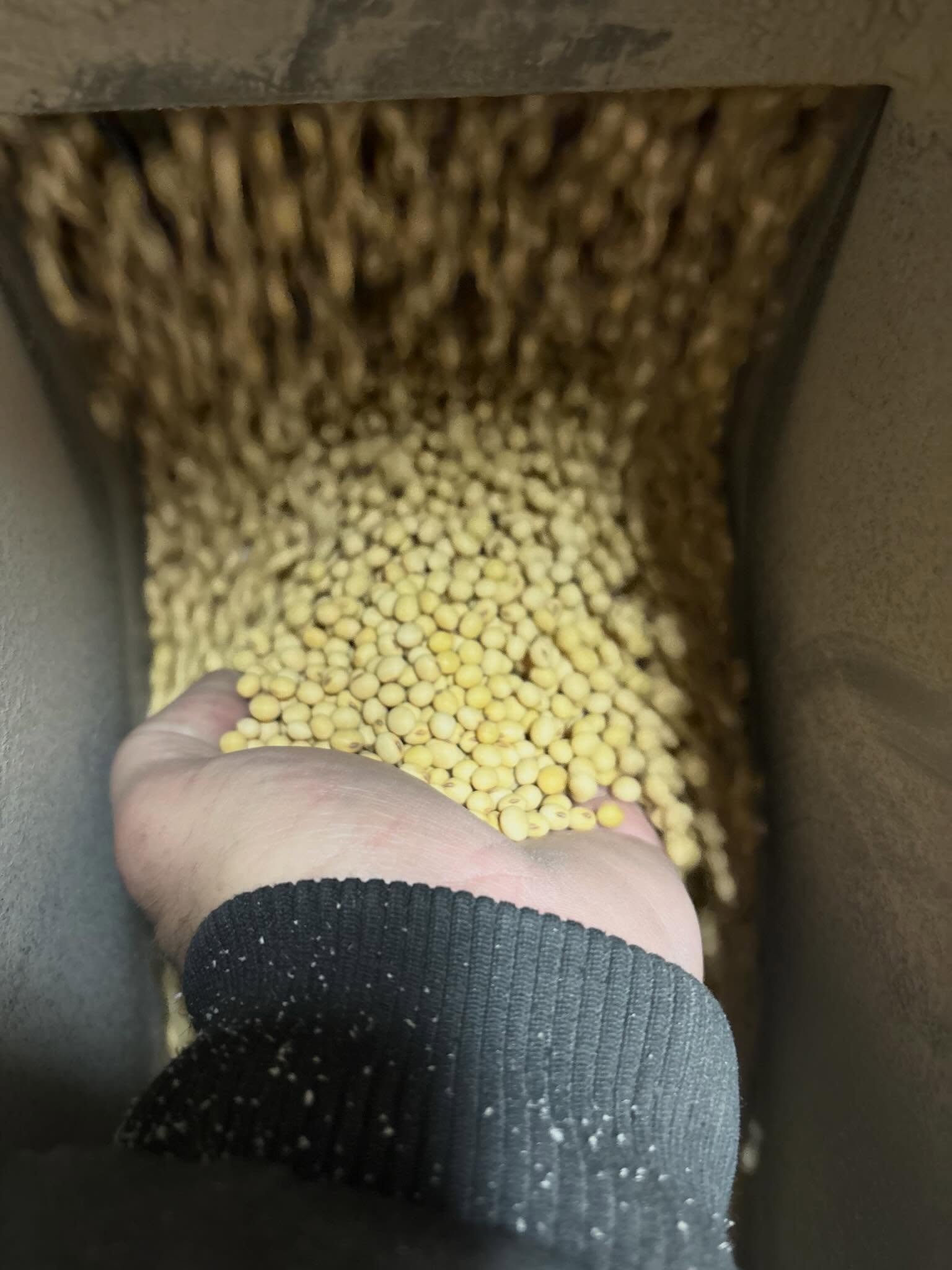 Ens Quality Seed - Farming & Agricultural Services, Manitoba