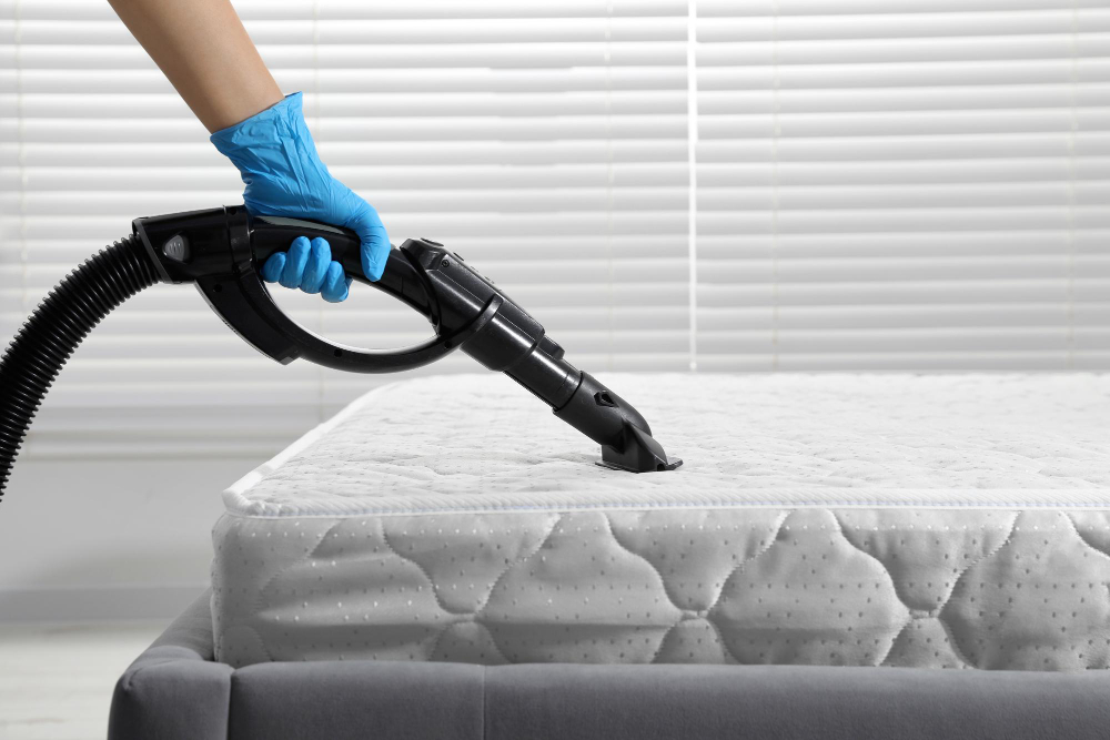 The Best Steam Cleaning in Alberta