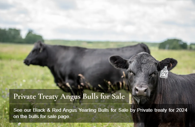 Hahn Cattle Co. in Sherwood Park, Alberta - Photo 1