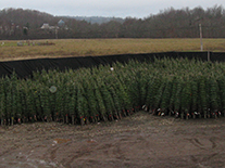 G & C Hughes Enterprises Ltd in New Ross, Nova Scotia.