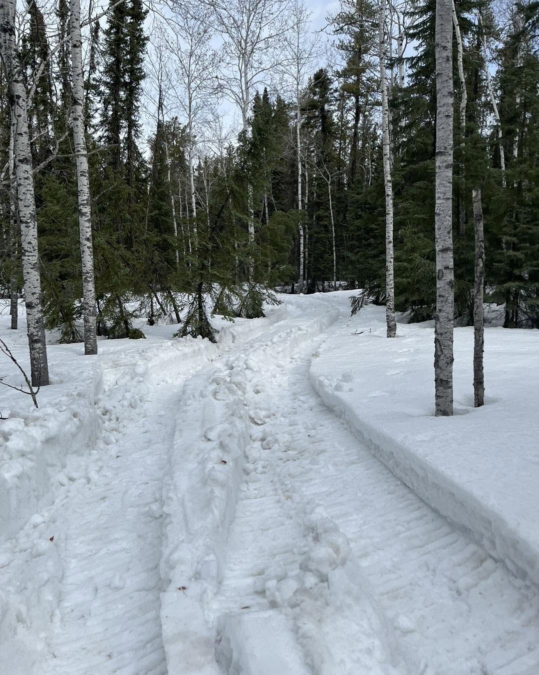 Bearadise Bay Wilderness Camp Ltd in Colonsay, Saskatchewan