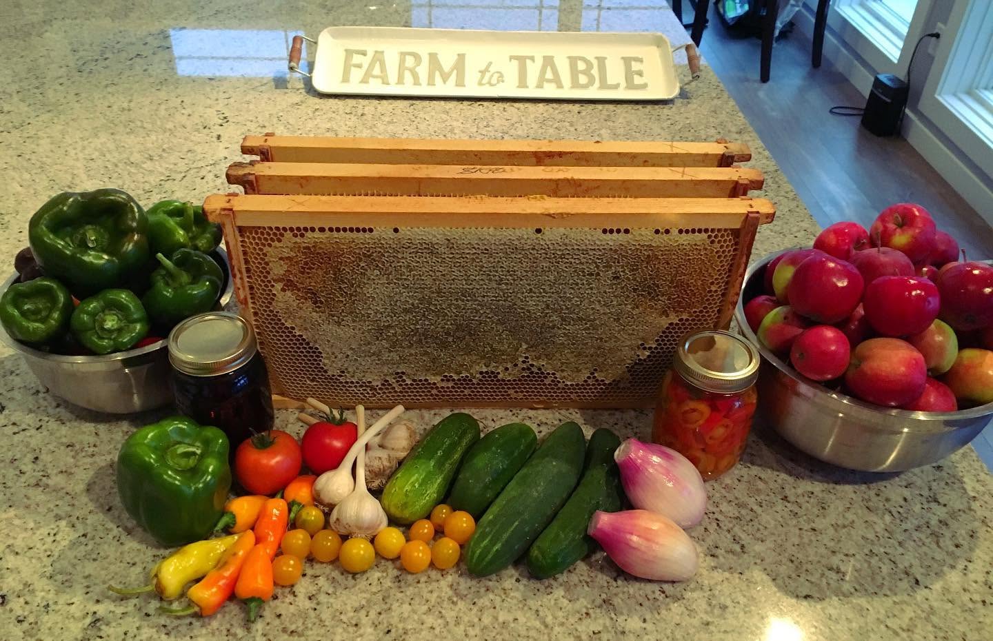 The Bearded Beekeeper - Farming & Agricultural Services in Port Blandford, Newfoundland and Labrador