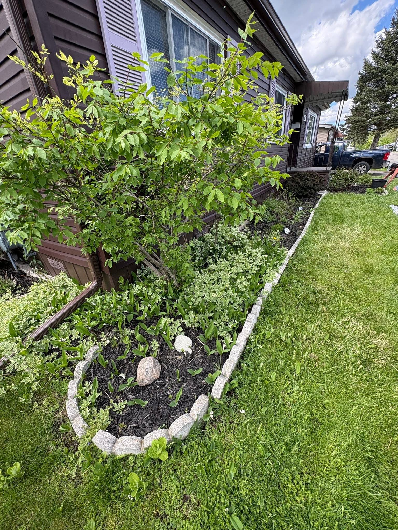 Wild Roots Property Care in North Augusta, Ontario - Photo 4