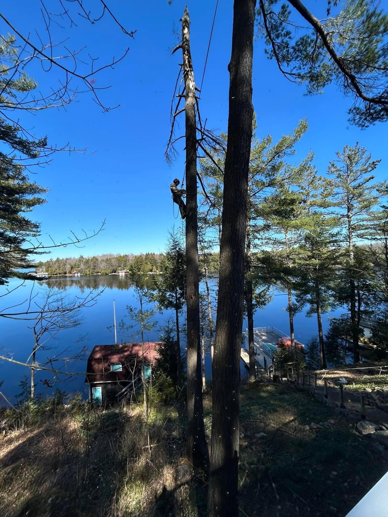Tri Lakes Tree Care - Tree Service in Bala, Ontario