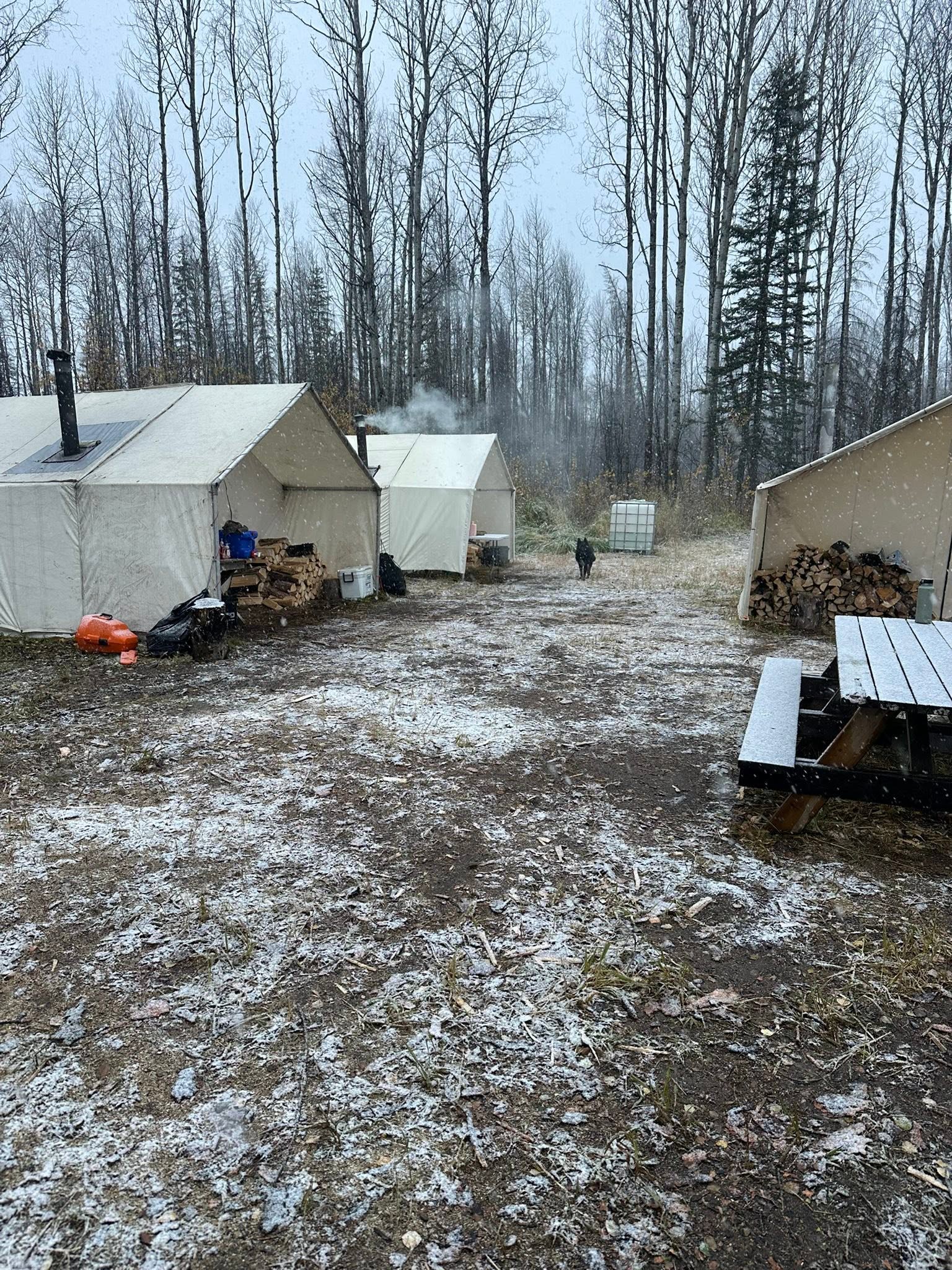 Northern Tales Outfitters in Tees, Alberta.