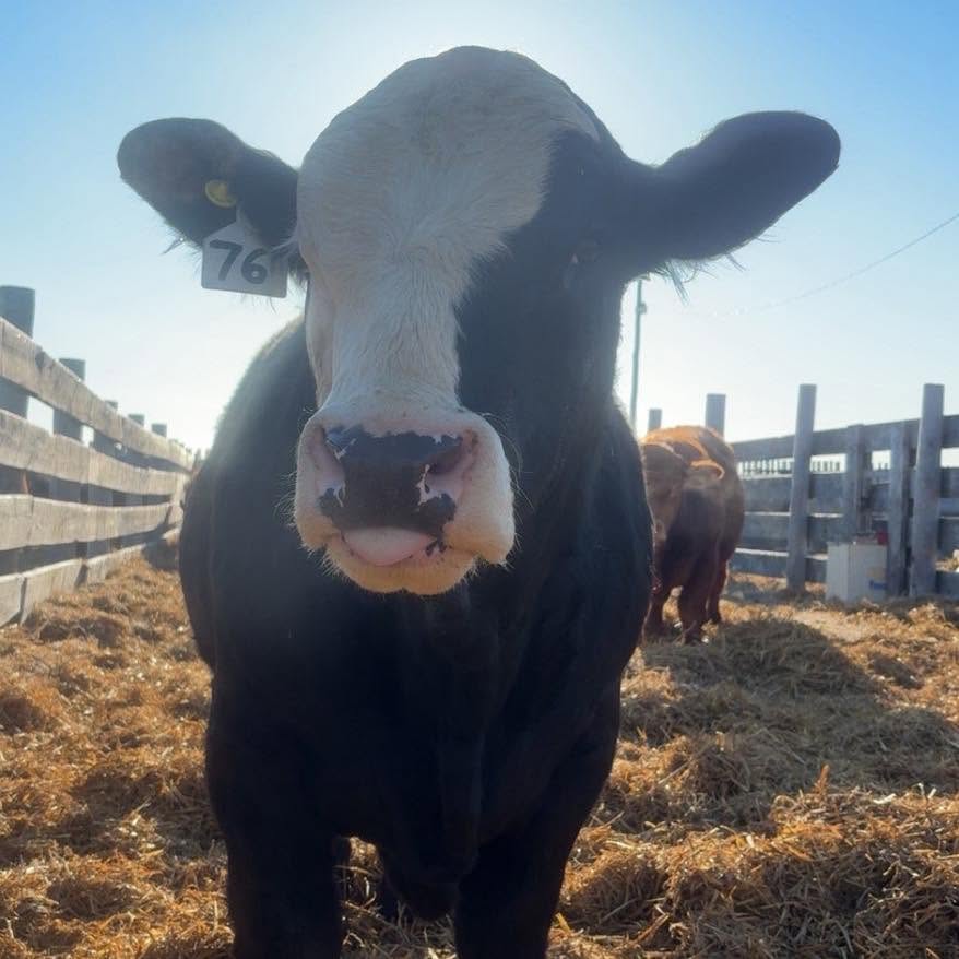 Farming & Agricultural Services
