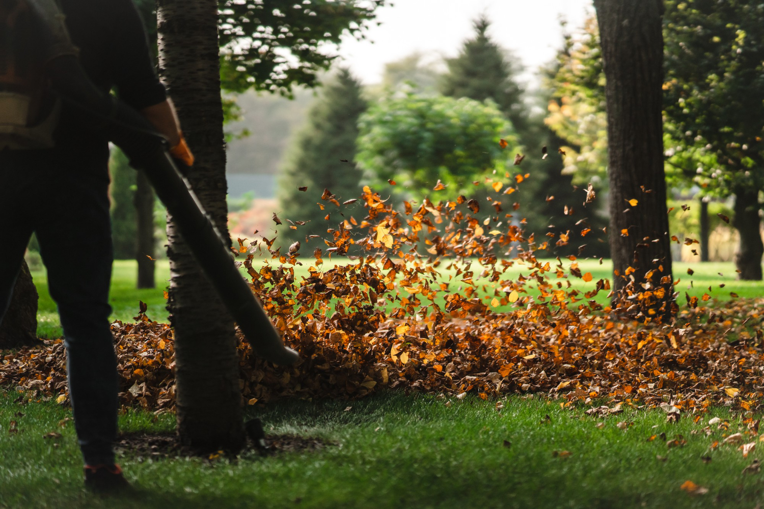 Lawn Maintenance in Rycroft, Alberta.