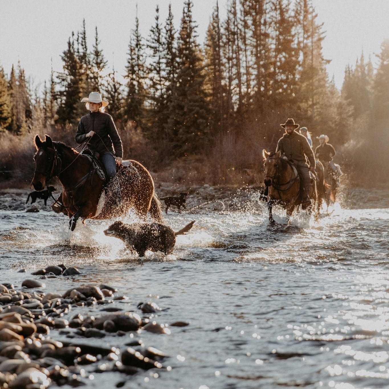 Big Creek Lodge BC - Tourist Accommodations, British Columbia