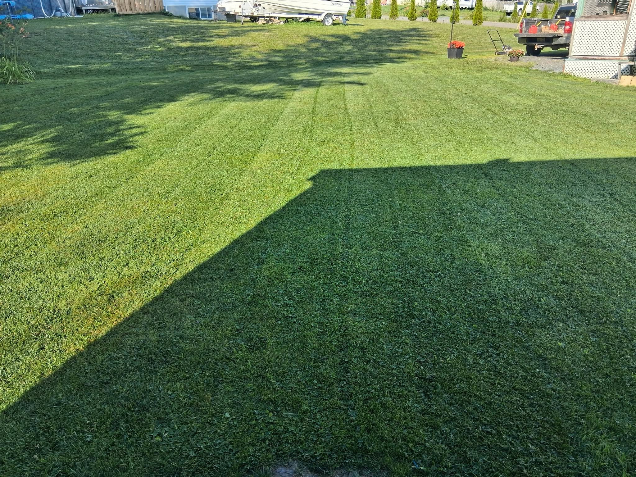 Property Maintenance