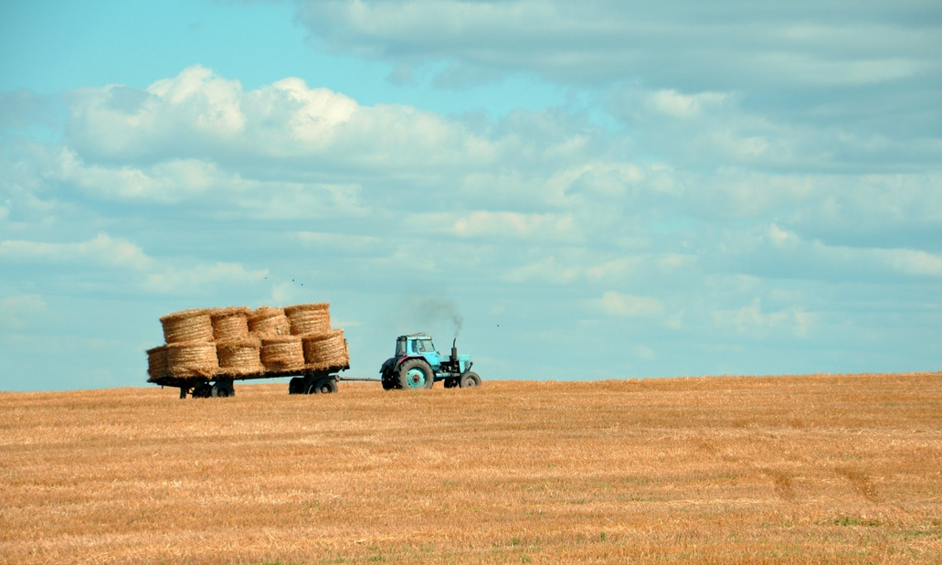 Farming & Agricultural Services in Trossachs, Saskatchewan