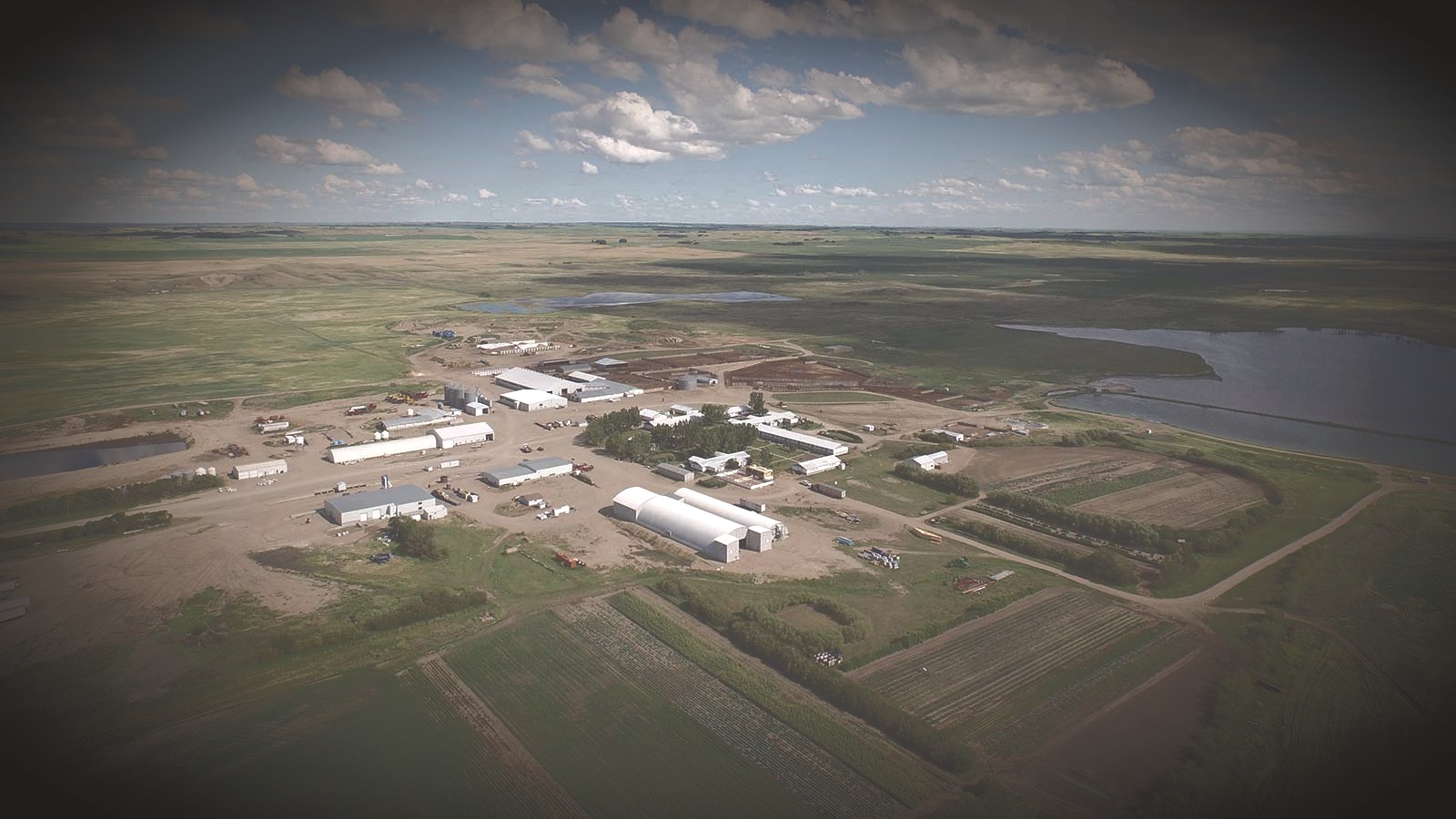 Spring Water Farming Co. Ltd. - Farming & Agricultural Services in Ruthilda, Saskatchewan