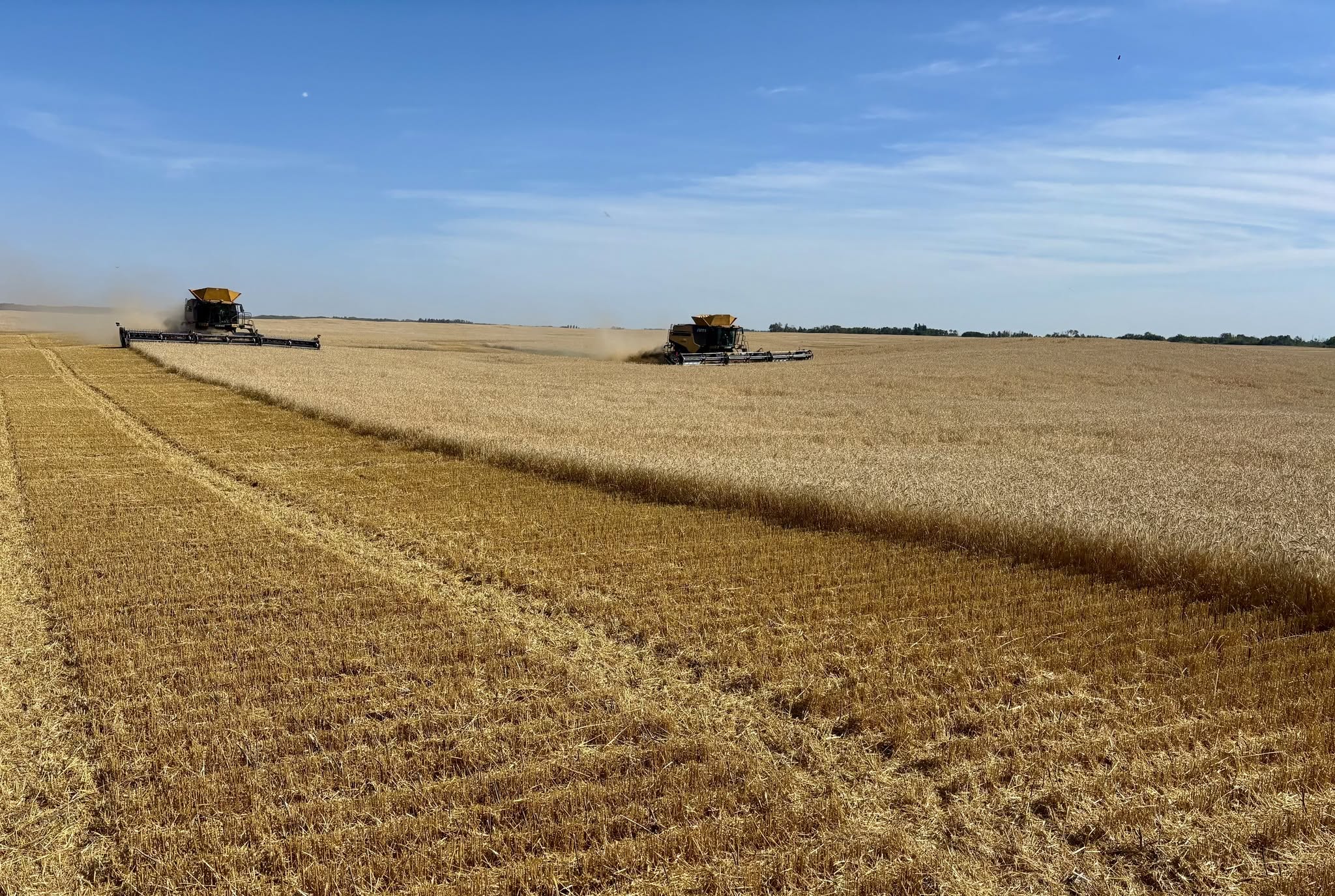 Bulych Bros Ag Services Ltd. in Foam Lake, Saskatchewan - Photo 6