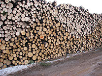 G & C Hughes Enterprises Ltd in New Ross, Nova Scotia.