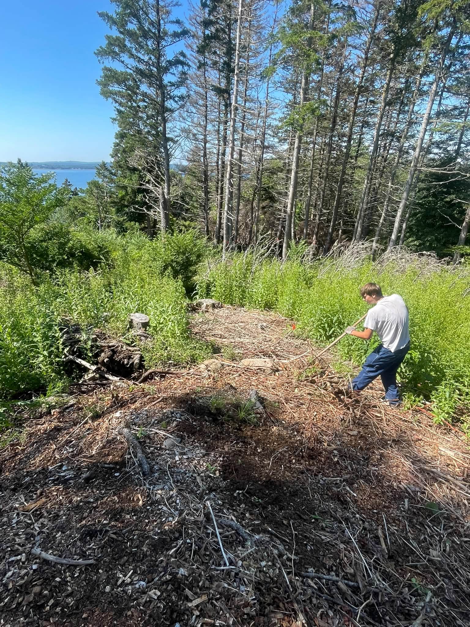 Lunenburg County Property Services - Landscape Contractors in Lunenburg, Nova Scotia