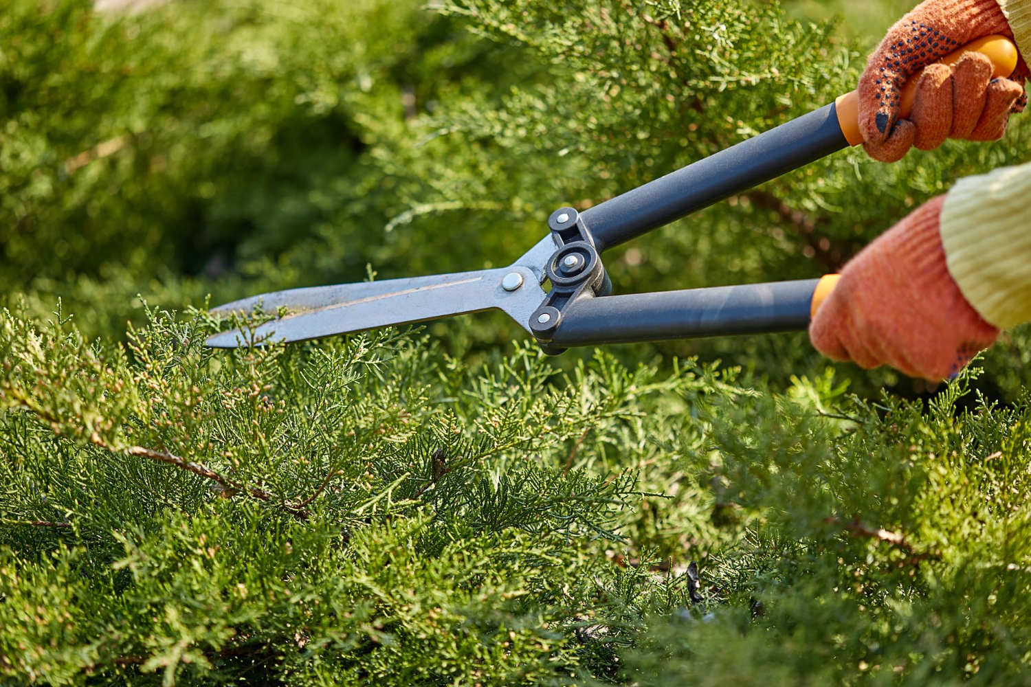 Locked In Landscaping - Landscape Contractors in Bedford, Nova Scotia