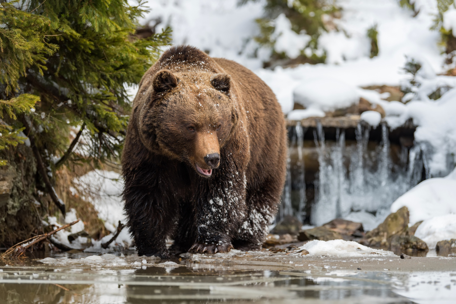 Bear Master Outfitters in Woodridge, Manitoba.