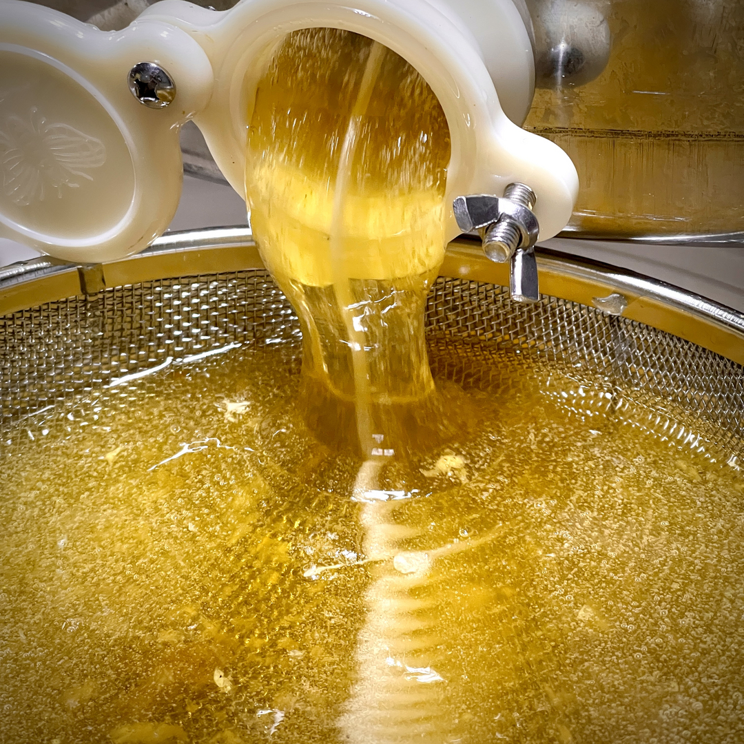 Teddy Bee Honey Company