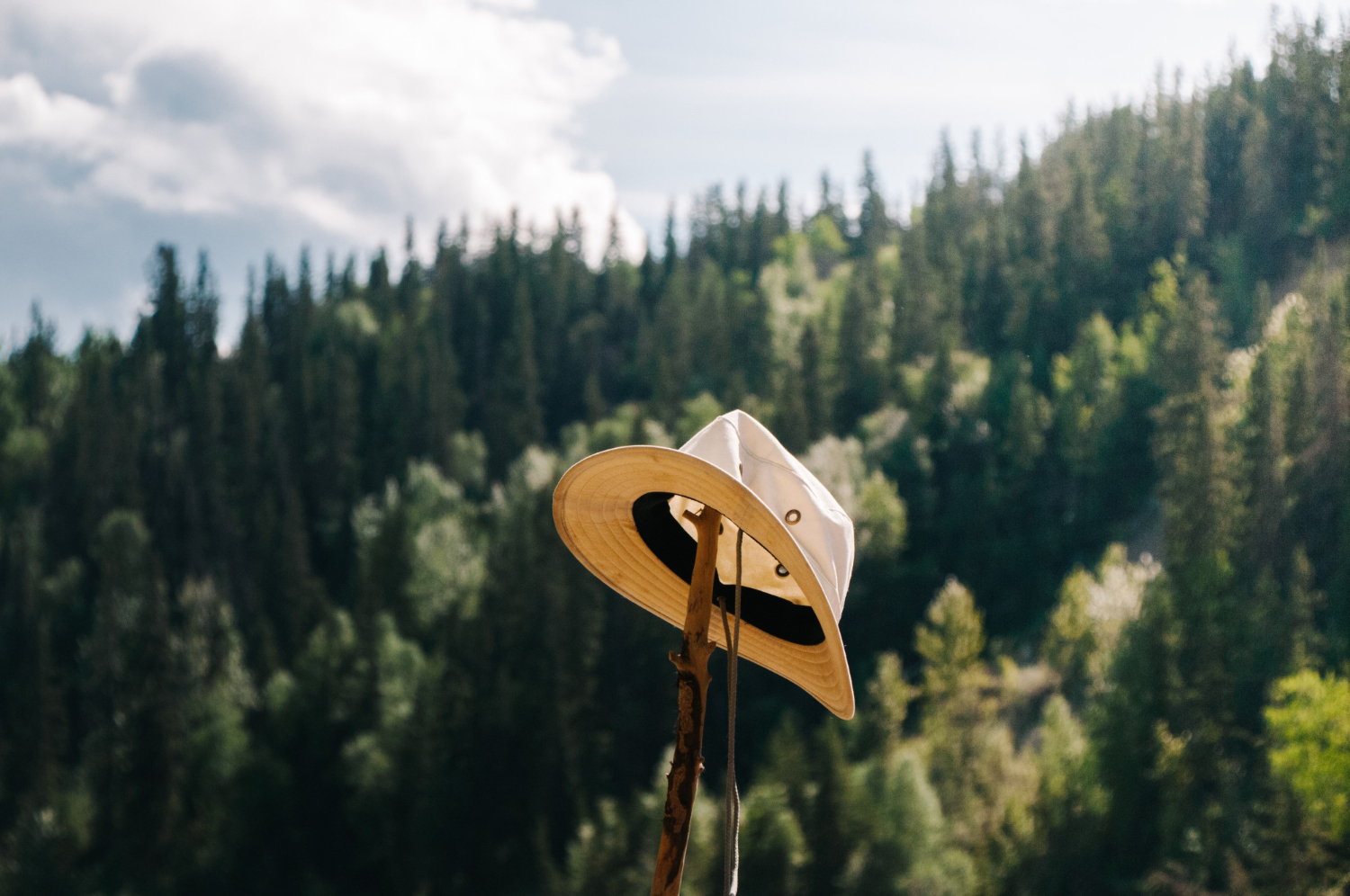 Sheep Creek Outfitters Ltd. - Wilderness Outfitters, Guides & Tours in Spallumcheen, British Columbia
