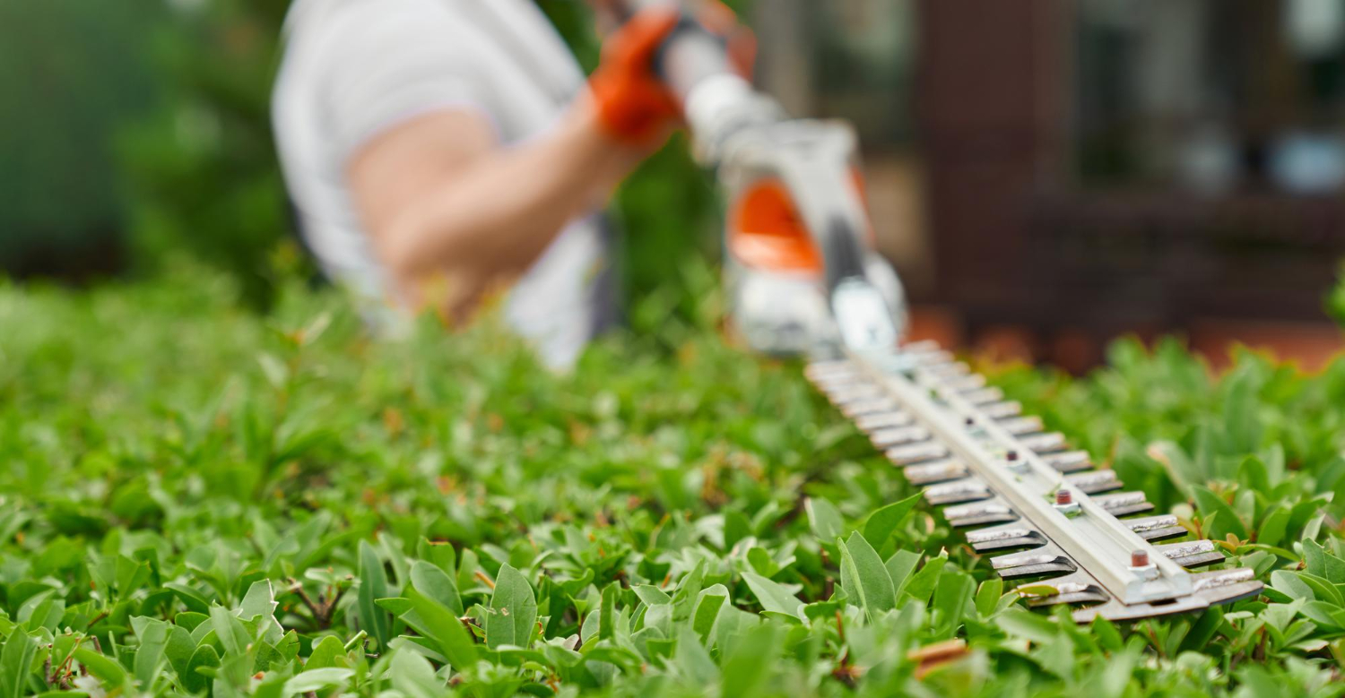 Lawn Maintenance