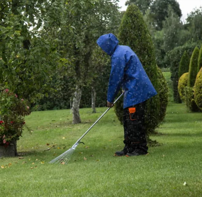 Najm Garden and Maintenance Ltd.