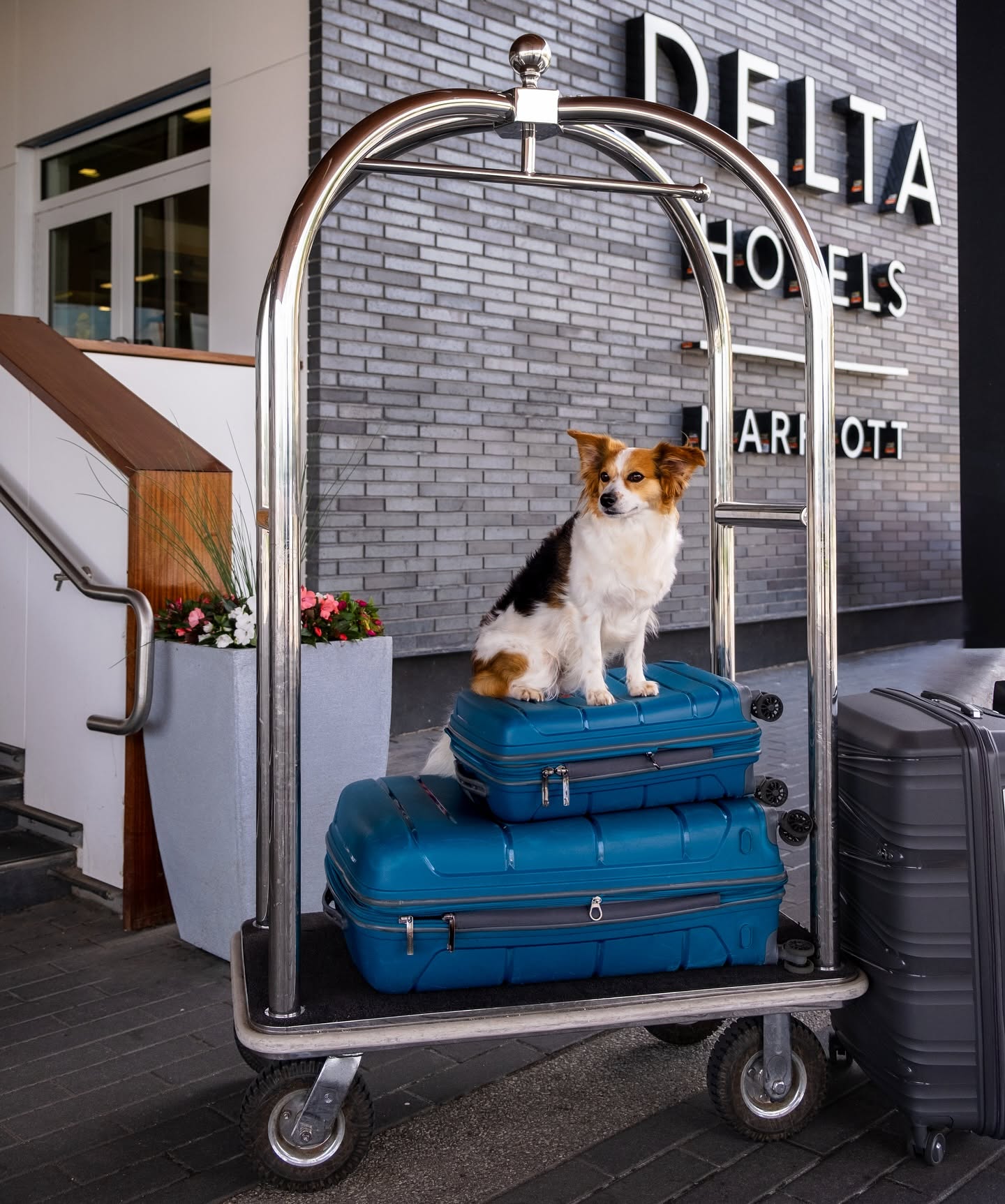 Delta Hotels By Marriott Thunder Bay