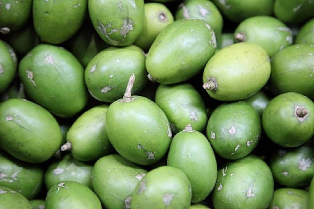 Tamisha Trading Inc - Produce in Scarborough, Ontario