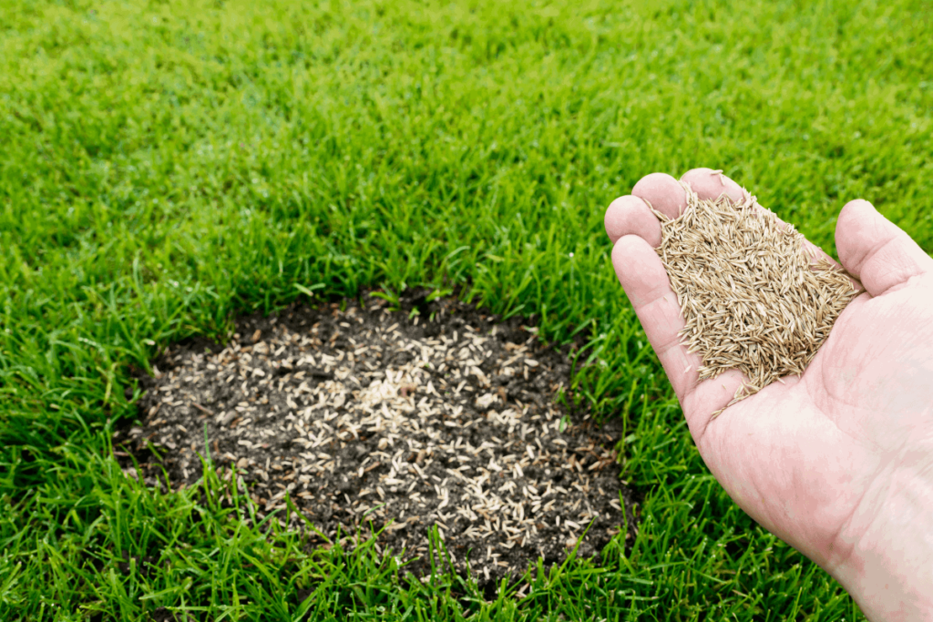Landscaping Services in Orleans, Ontario.