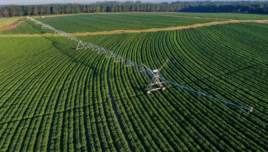 Lone Pine Farming Inc. in Botha, Alberta