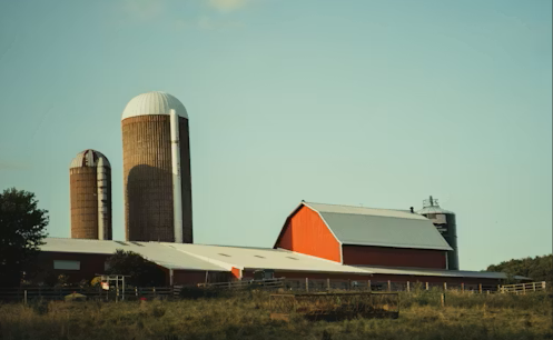 Farms & Ranches in Jenner, Alberta.