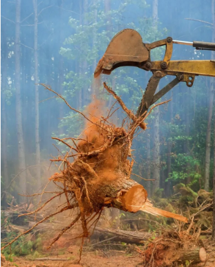 WJ Excavating